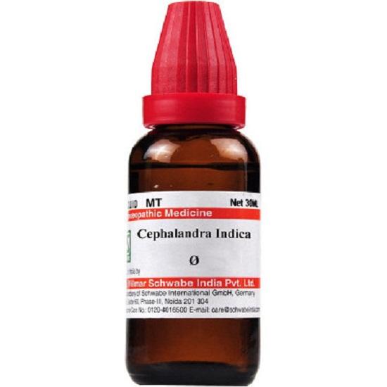 Dr Willmar Schwabe India Cephalandra Indica Mother Tincture (Q) (30ml)