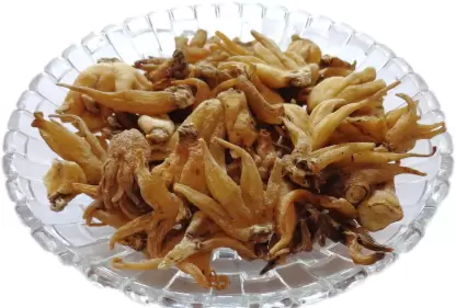 ORGANIC HERBS SALAM PANJA, SALAB PANJA Seed
